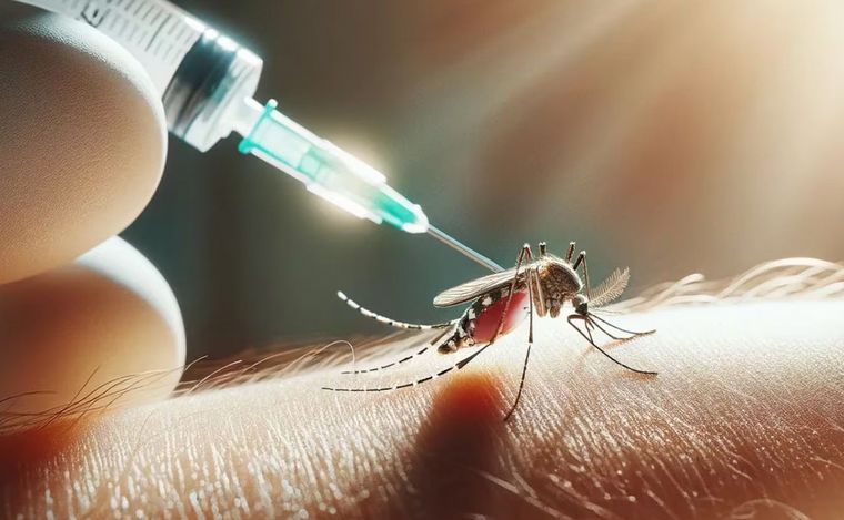 Objetivo Dengue